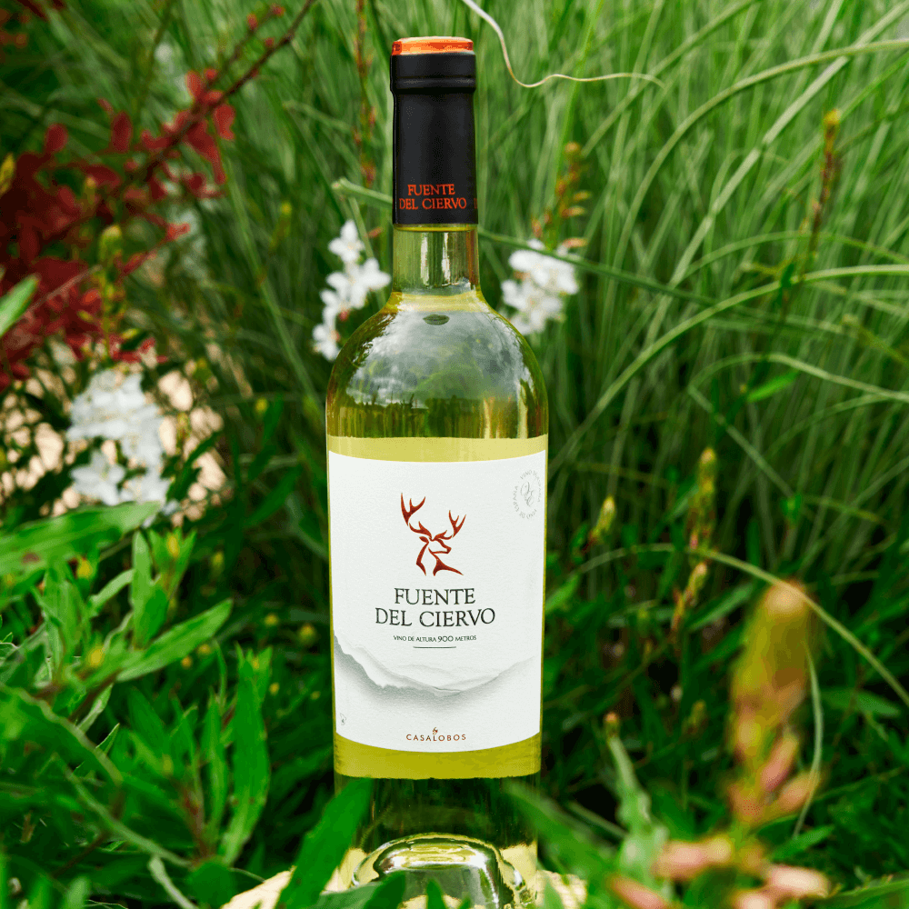 Fuente Del Ciervo Blanco