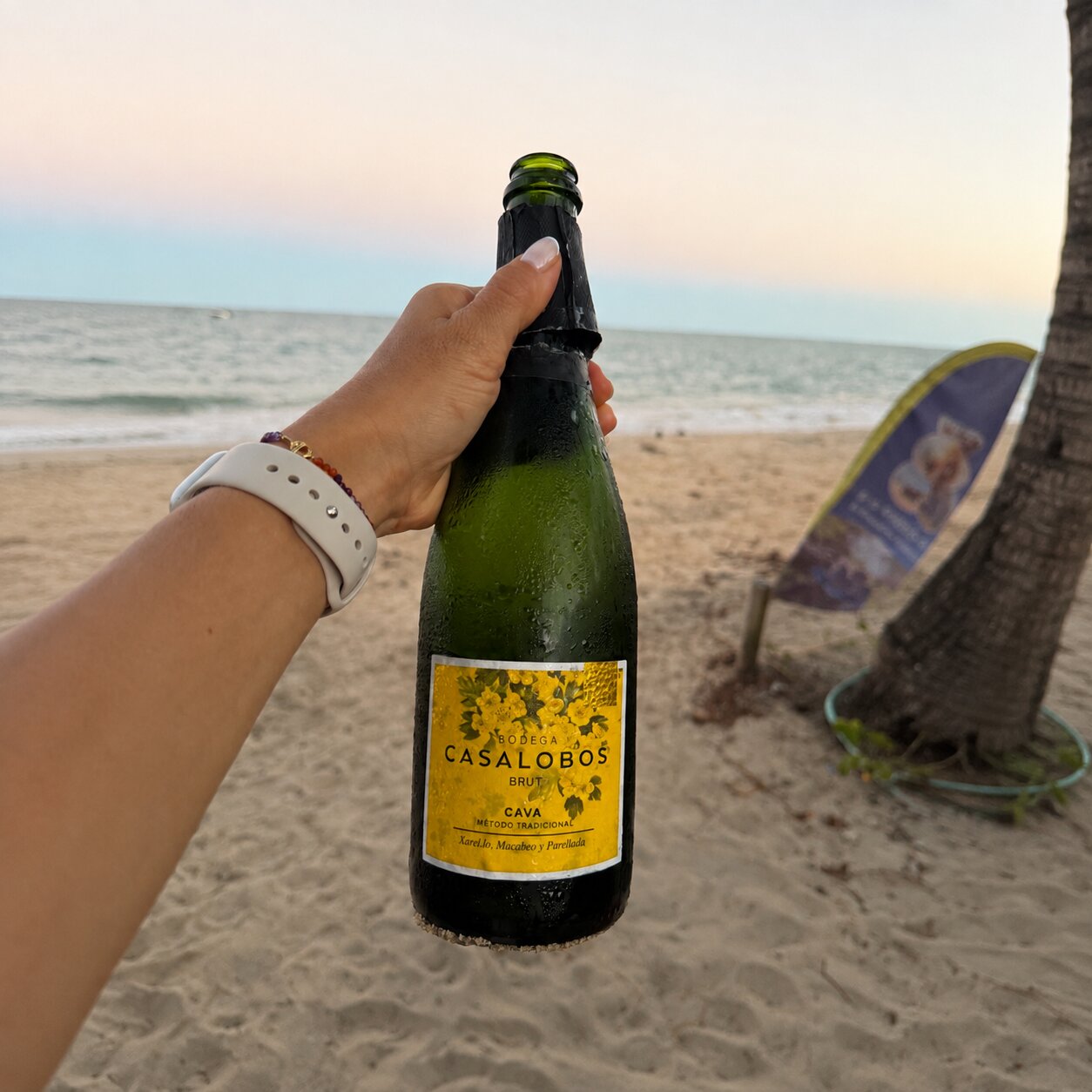 Espumante Cava Casalobos Método Tradicional – Macabeo, Xarel·lo & Parellada