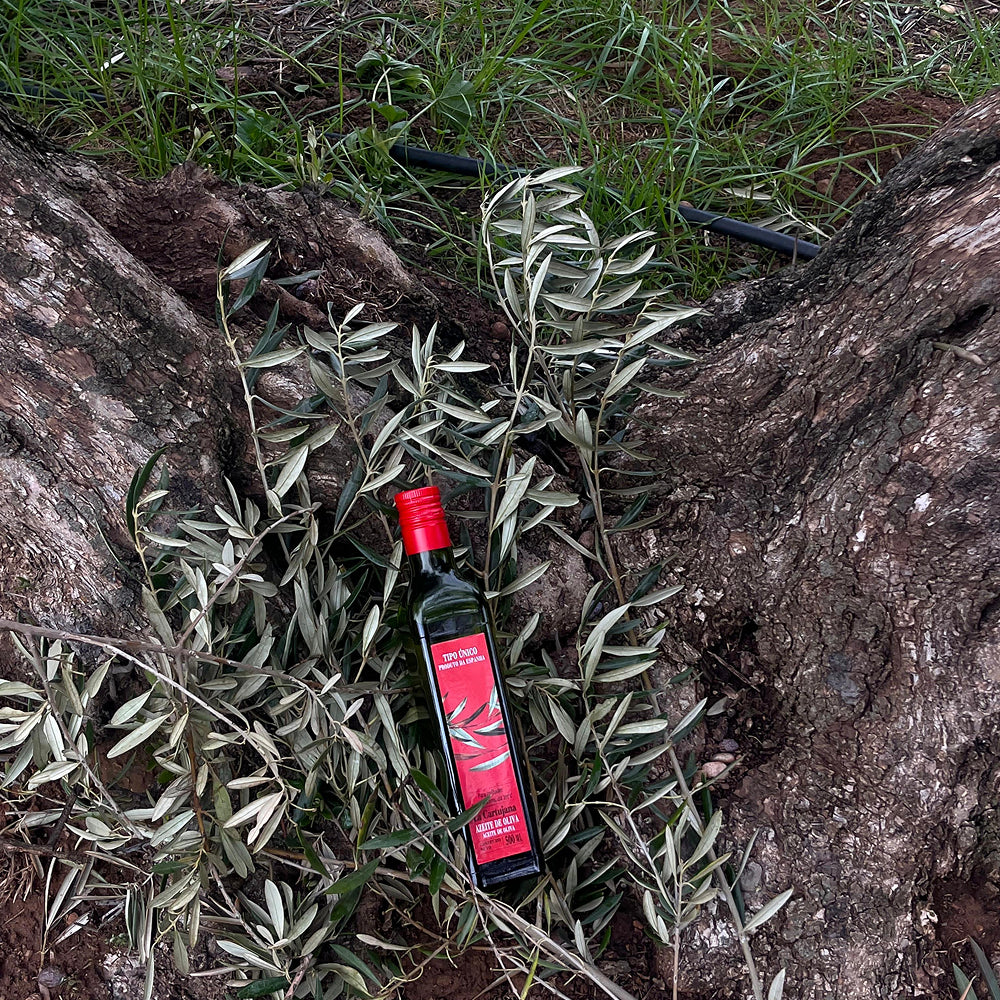 LA CARTUJANA Azeite de Oliva Tipo Único